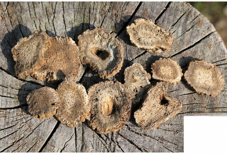 Mu Xiang /木香/ High Quality /Radix Aucklandiae Costustoot 100g Secondary image