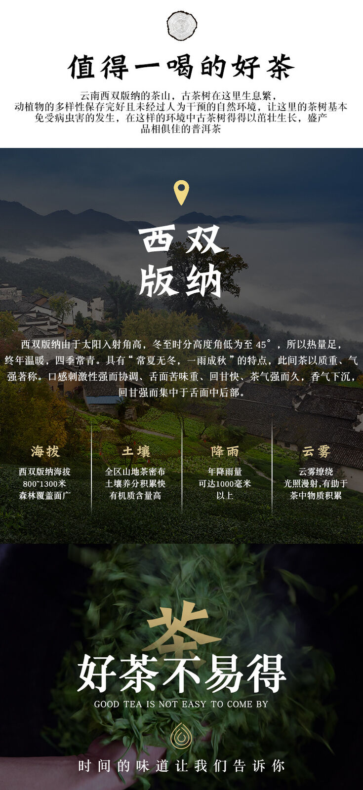 HelloYoung Yunnan Old Banzhang Ripe Pu-erh Tea Cake 357g