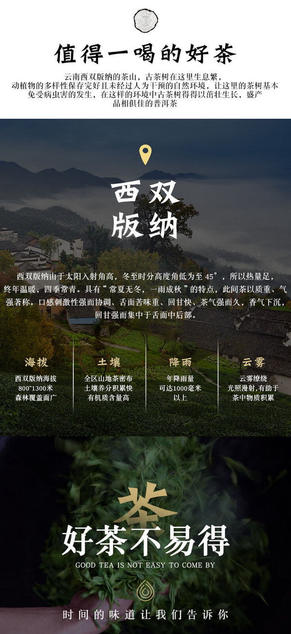 HelloYoung Yunnan Old Banzhang Ripe Pu-erh Tea Cake 357g