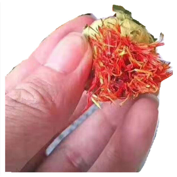 HelloYoung Saffron Fruit Saffron Tibetan Saffron Fruit Western Saffron 500/1.1lb