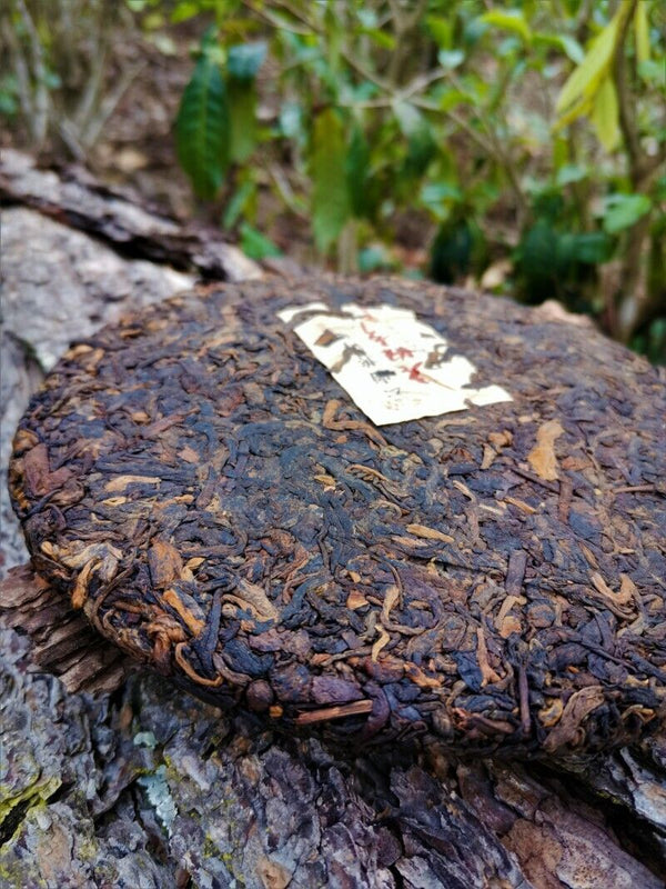 HelloYoung 357g Ripe Pu'er Tea Yunnan Old Tea Tree Ripe Tea Cake
