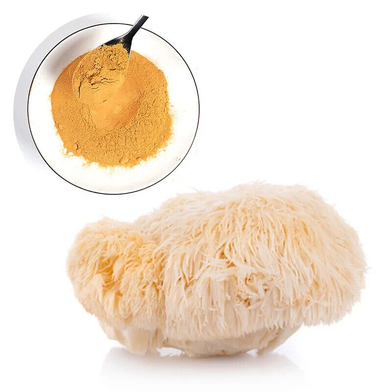 100% Organic Natural Lions Mane Mushroom 250g Hericium Erinaceus Hou Tou Gu 猴头菇