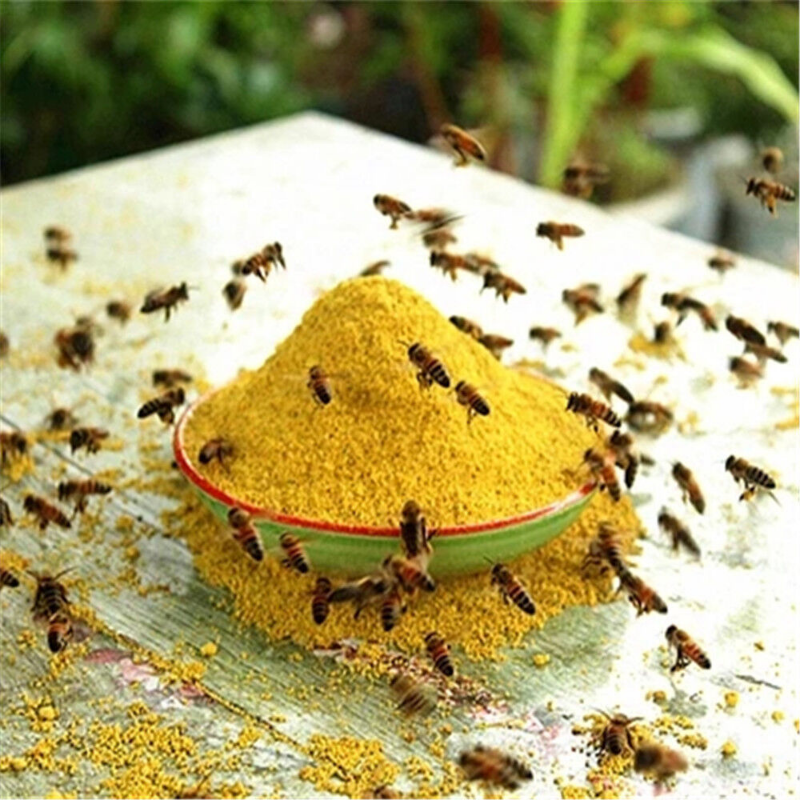 HelloYoung 500g High Quality 100% Natural Bee Pollen Chinese Herbs Harvest Secondary image