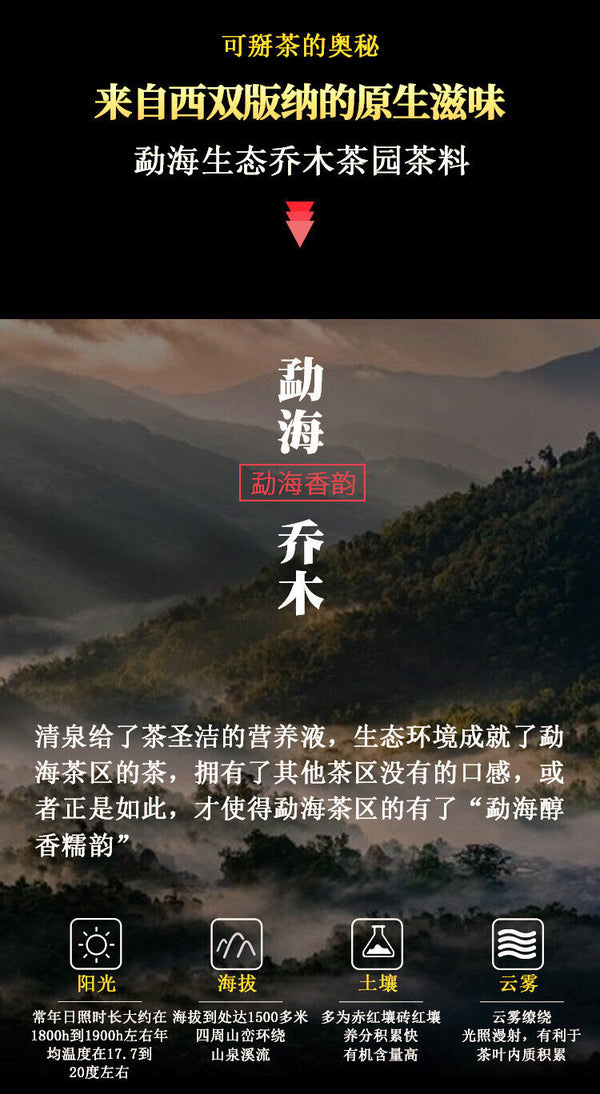 HelloYoung 200g Yunnan Menghai Large Tree Dry Storage Hand Brewed Tea Ripe Tea Brick