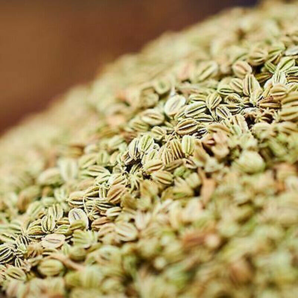 Herb 100% Natural Cnidium Monnieri Seed She Chuang Zi Organic Herbs