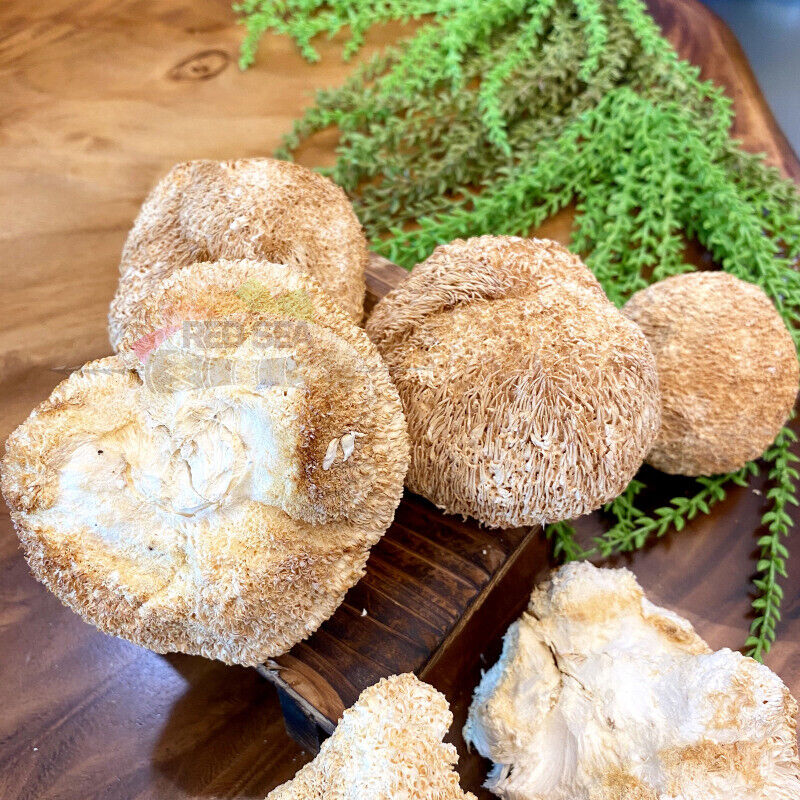 250g/8.8oz Hericium Erinsceus Mushroom Premium Lions Mane Mushroom  Dried Goods