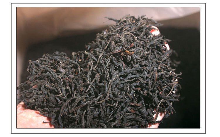 HelloYoung Zhengshan Xiaojiao Black Tea Tongmuguan Tea Strong Aroma Canned Spring Tea 125g