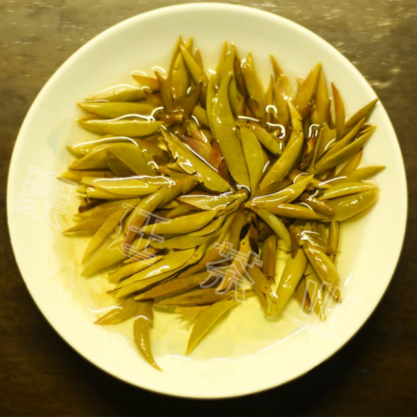 HelloYoung Yunnan Pu'er Tea Purple Buds Early Spring New Tea MingQian Spring Tea Nectar Tea