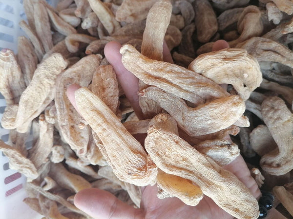 HelloYoung New Dried Tianma Yunnan Wu Tianma Tianma Slices Fresh Xiao Cao Ba 500/1.1lb