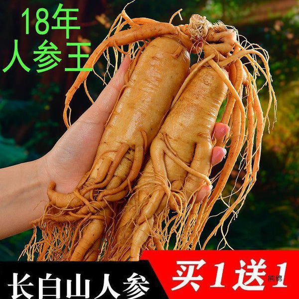 Good for Wine Soaking and Soup Premium Fresh Wild Ginseng from Changbai Mountain