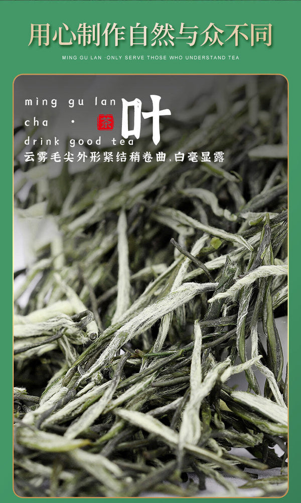 Minggulan Yunwu Maojian Tea  Green Tea Spring Good Tea Stir-fried Young Buds 76g