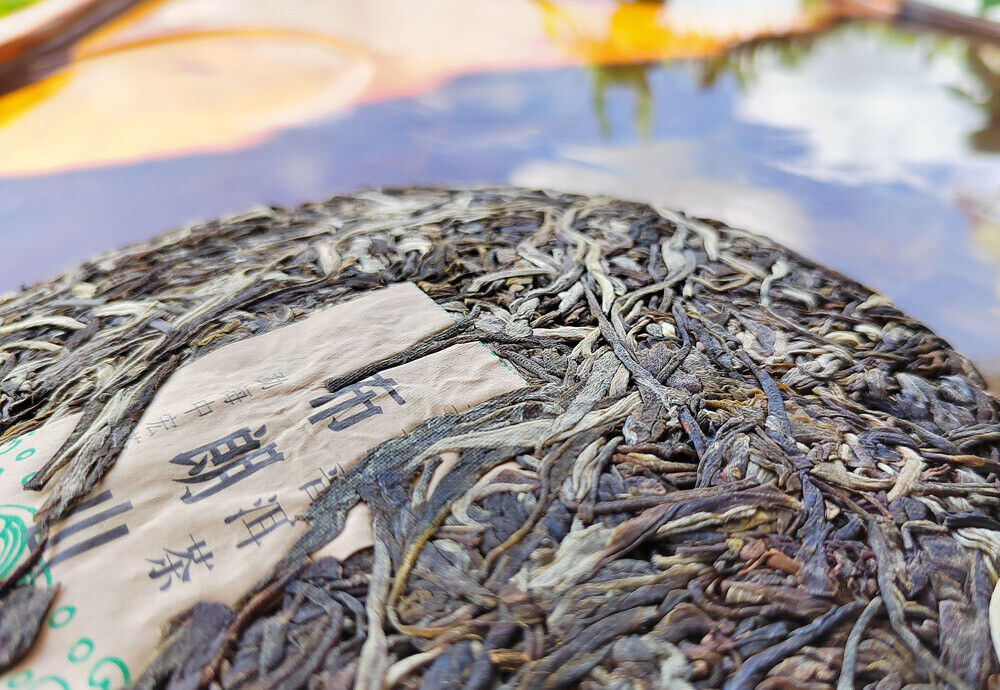 HelloYoung Yunnan Menghai Pu'er Tea Brown Mountain Early Spring Arbor Pu'er Raw Tea Cake