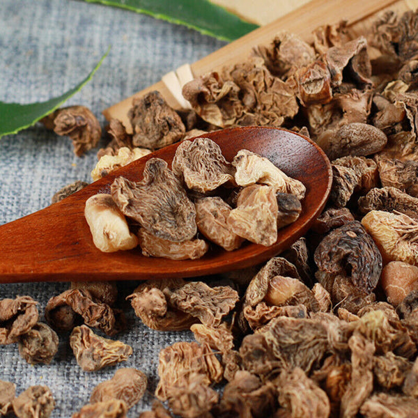 HelloYoung 50g High Quality Shancigu Maocigu Premium Chinese Healthy Herbs Health Care 山慈菇