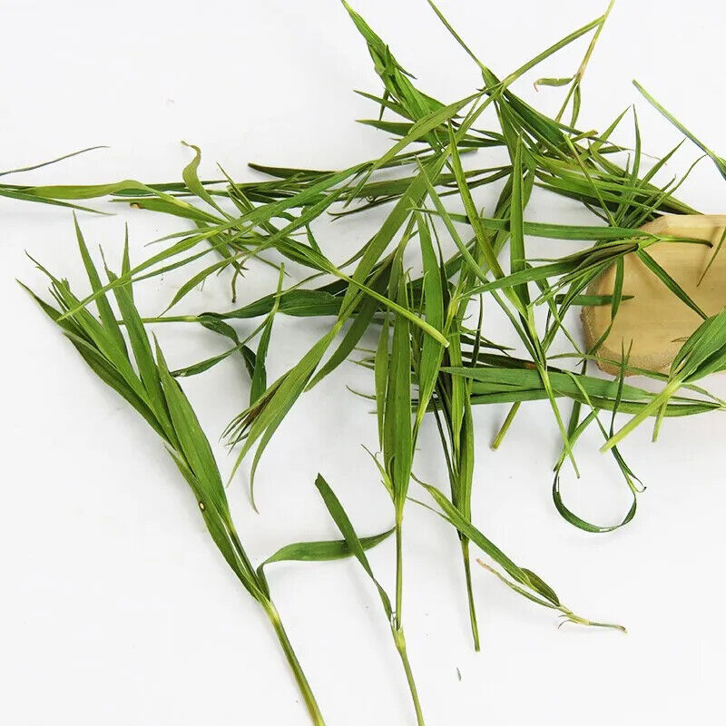 Organic Quality Bamboo Leaf Tea Lophatherum Gracile Tea Herbal Tea Secondary image