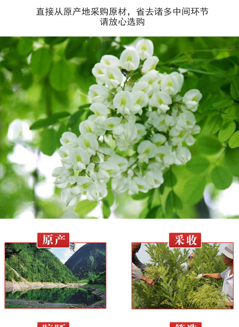 Dried Acacia Rice Another Acacia Flower for Sale Acacia Flower Tea 500g