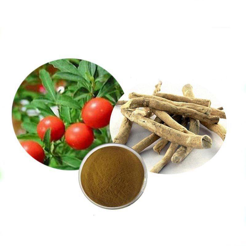 500g Ashwagandha Root Extract 20:1 – Organic, Non-GMO, Natural Health Boost Main image
