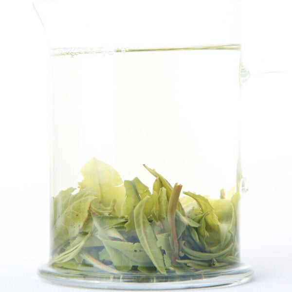 HelloYoung Loose Leaf Tea Health  Organic Green Tea Top-grade Early Spring Tea 500g