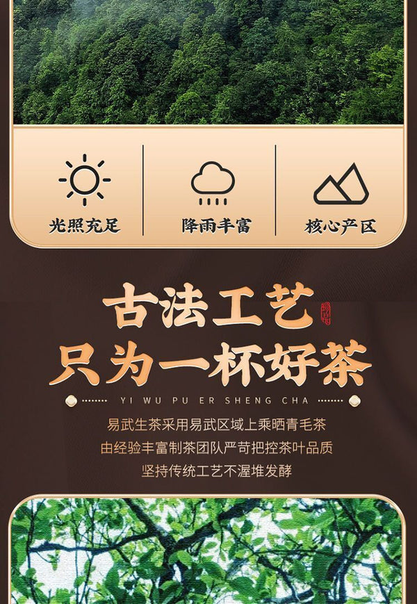 Yunnan Yiwu Tea District Puerh Raw Tea High Mountain Ancient Tree Puerh Tea 500g