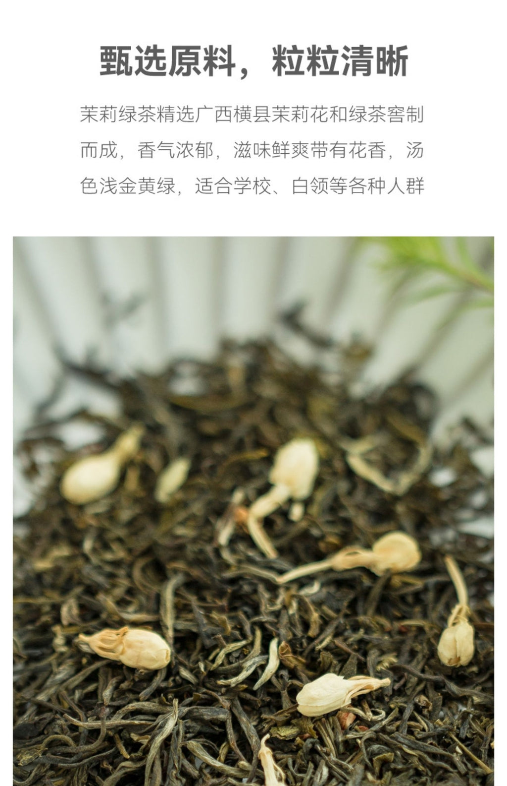 Jasmine Green Tea 2025 New Fragrant Tea Bags No Sugar Cold Brew for Summer