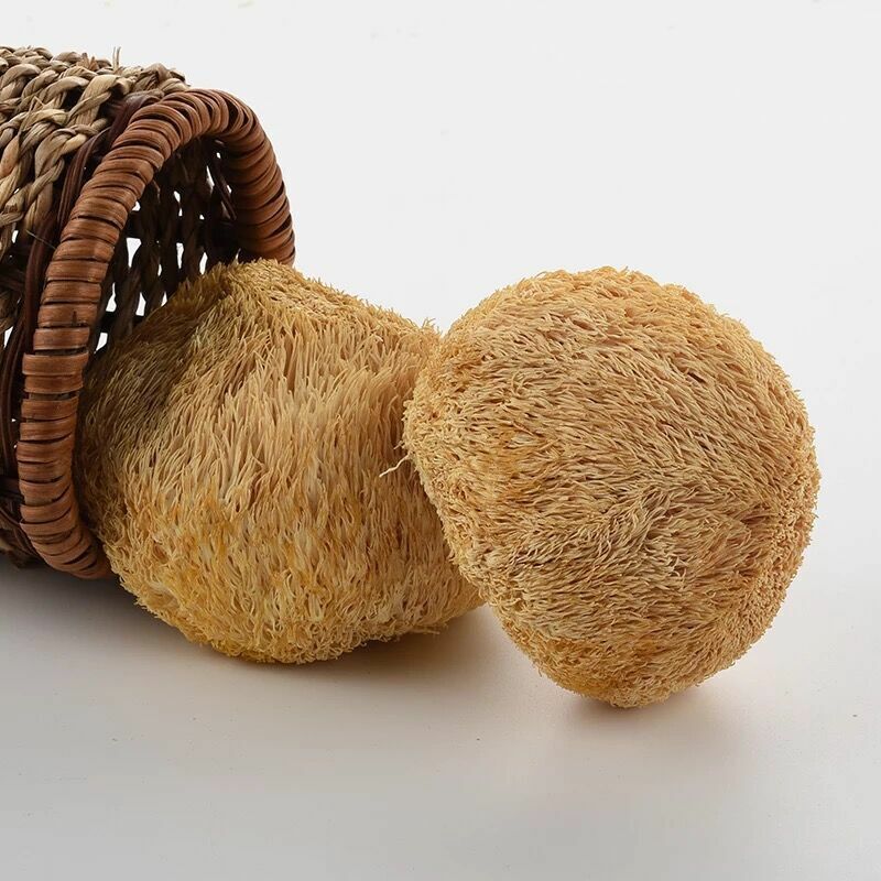 HelloYoung 250g Organic Original Dried Houtougu Hericium Erinaceus China Herbal Health Care Secondary image