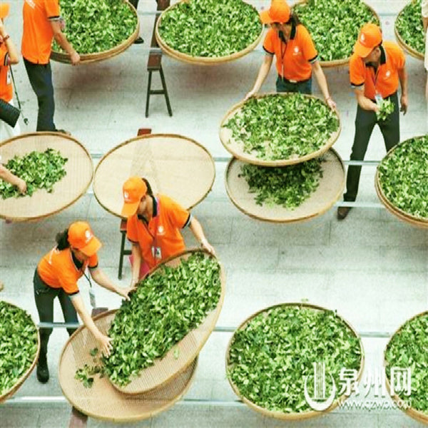 Tai Ping Hou Kui Matcha Organic Green Tea 100g Weight Loss Herbal Healthy Drink
