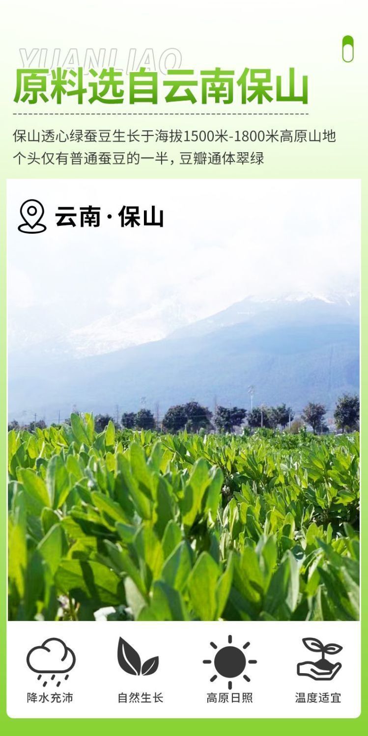 Yunnan Flowered Broad Beans - Crispy Green Snack (Individually Packed)