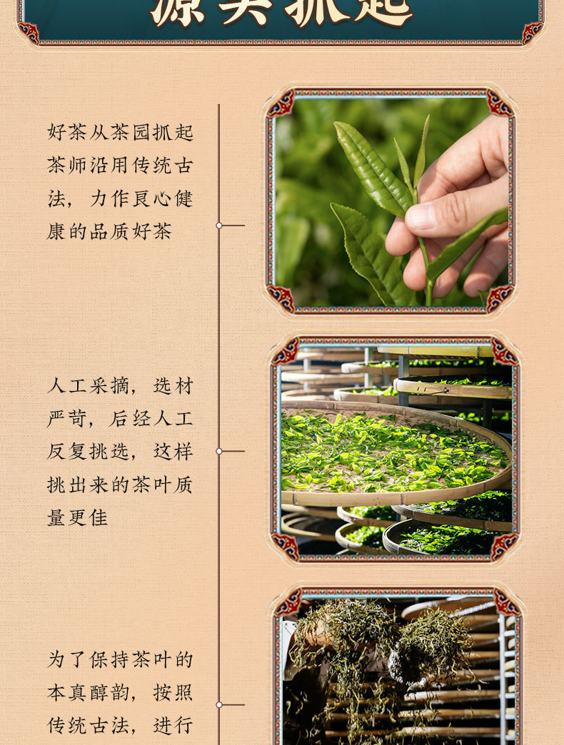Bigelow Spring Tea Green Tea Strong Aroma Green Tea Tender Buds Bag 250g