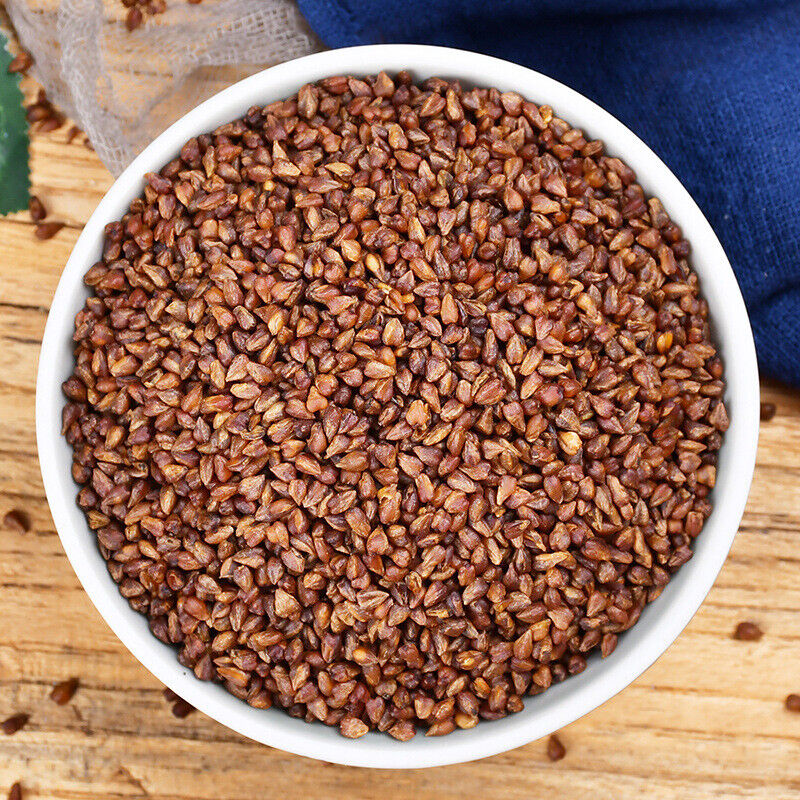 HelloYoung Black Buckwheat 500g Buckwheat Tea 黑苦荞茶 Secondary image