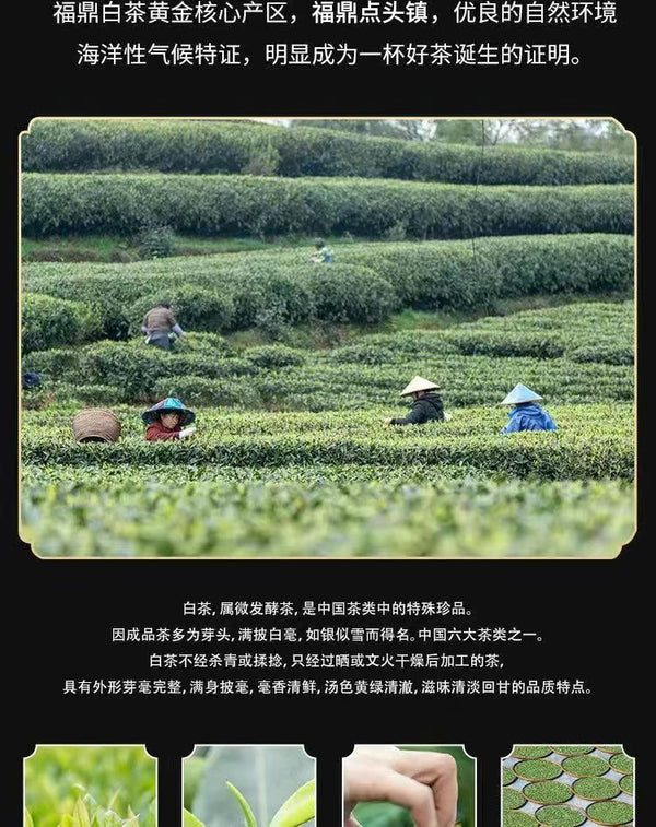 Fuding White Tea Old White Tea Shou Mei White Tea Gold Medal Tea Cake 300g