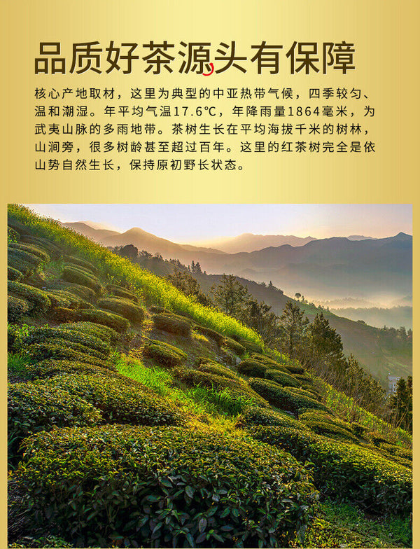 Tie Guan Yin Tea Oolong Tea Gift Box Fujian High Mountain Oolong Tea 250g/Box