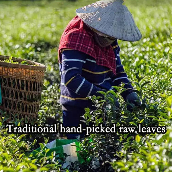 250gHelloYoung High Quality Taiwan Milk Oolong tea Taiwan High Mountain Jin Xuan