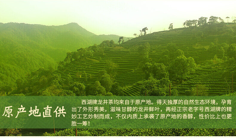 West Lake Brand Rainbow Strong Fragrance Longjing Tea Single Bag  100g