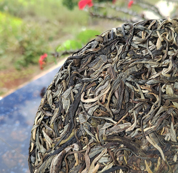 HelloYoung 357g Laobanzhang Raw Tea First Spring Pu-erh Raw Cake Menghai Pu-erh Tea
