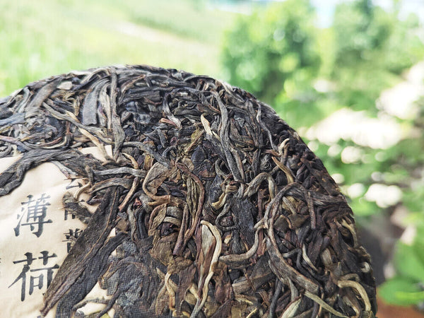 HelloYoung 200g MintHotang Ancient Tree Tea Yiwu Old Tree Raw Pu'er First Spring Jiaoji Tea