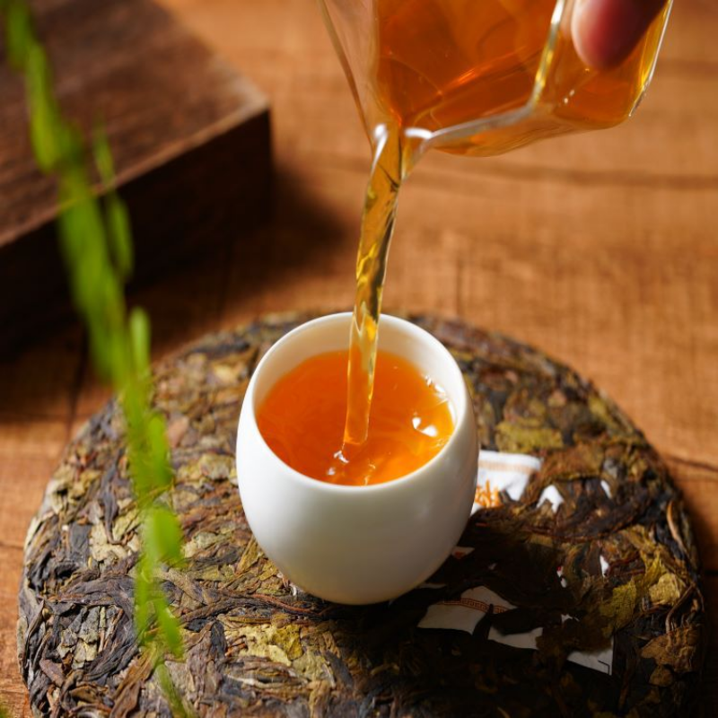 HelloYoung 357g Nannuo Mountain Deep Mountain Big Tree Ming Pre-early Spring Tea Raw Cake