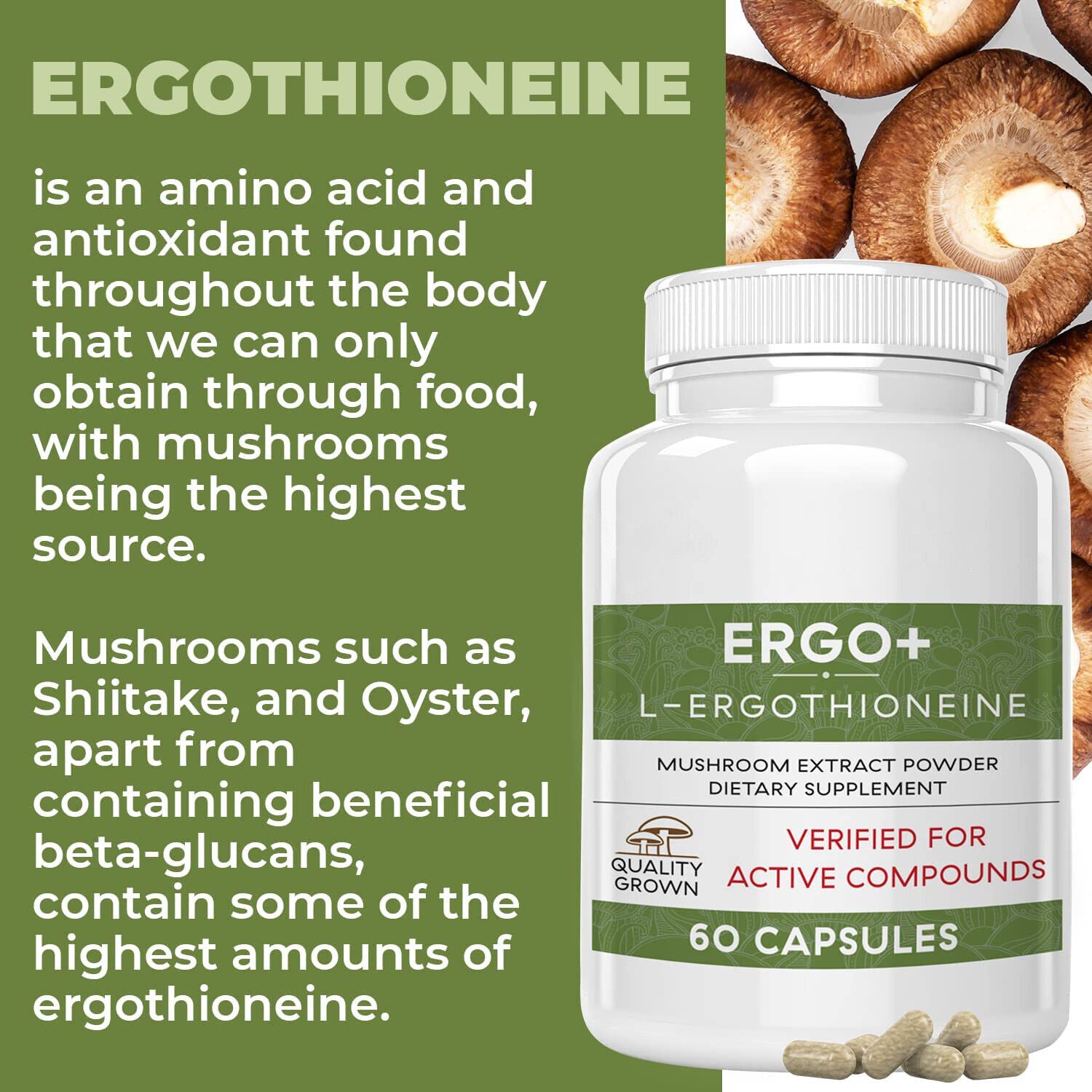 ERGO+L-ERGOTHIONEINE Oyster Mushroom Capsule Supplement 60 Capsules Secondary image