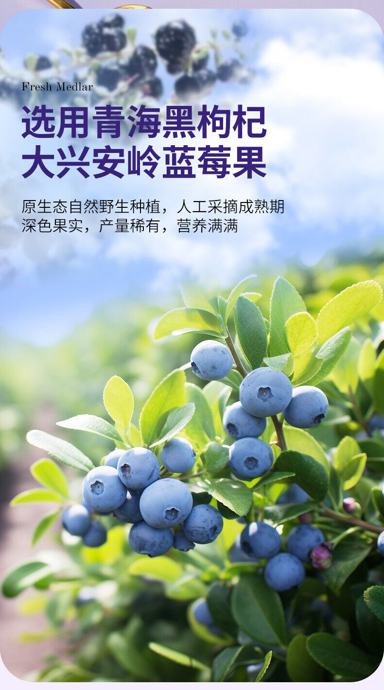 Blueberry & Black Goji Berry Juice Puree - Nutrient-Rich Healthy Drink