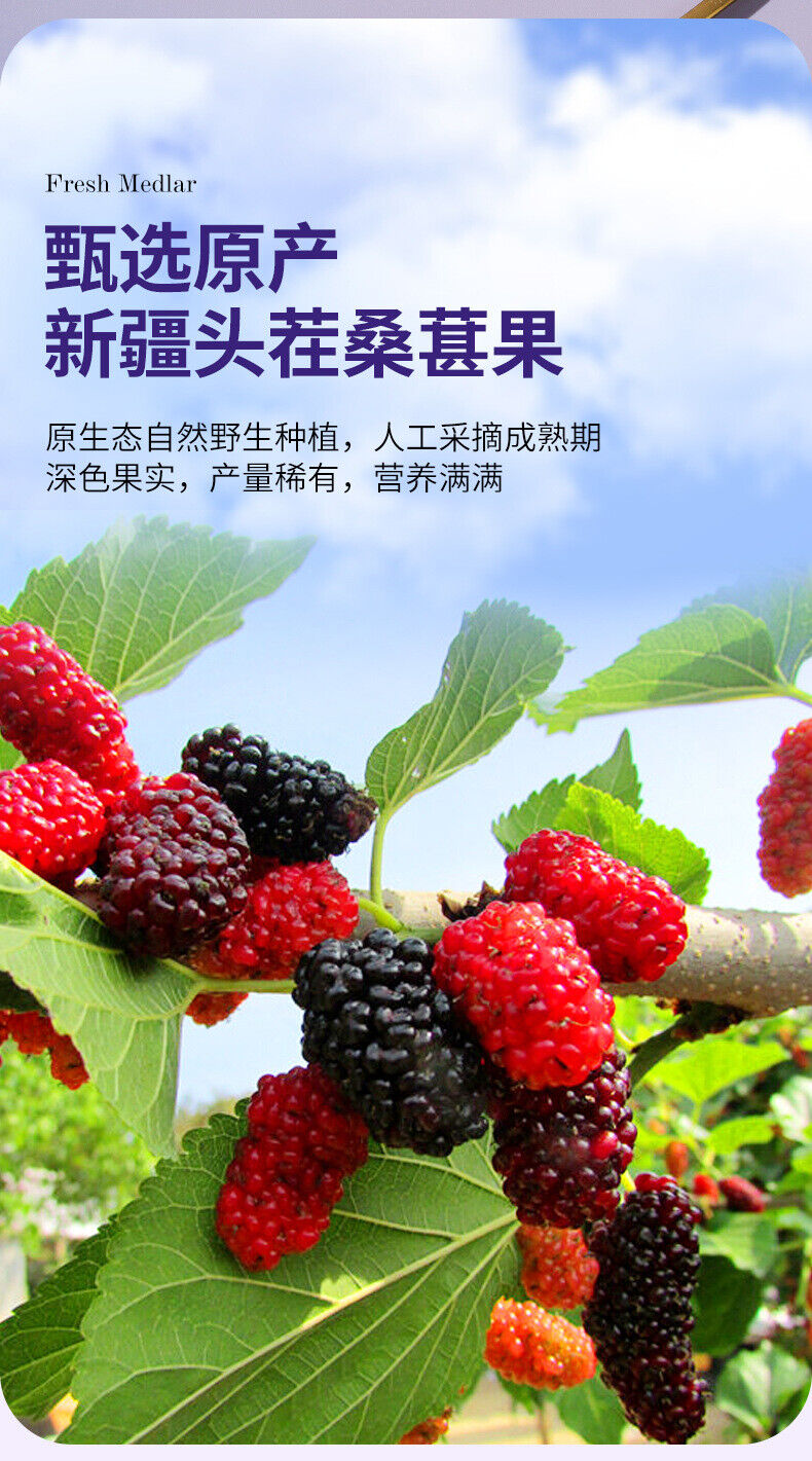 Mulberry Puree, Sea Buckthorn, Goji Berry Juice, Ningxia Black Goji Herbal Drink
