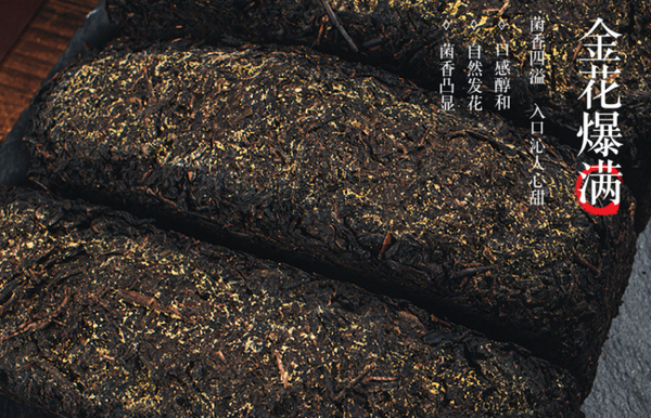HelloYoung 1kg Hunan Tianti Anhua Black Tea Golden Flower Tian Fu Brick Tea Anhua Black Tea