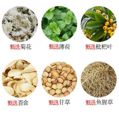 HelloYoung 150g Organic Siraitia Grosvenorii Herbal Tea Luo Han Guo Herbs Tea Health Care