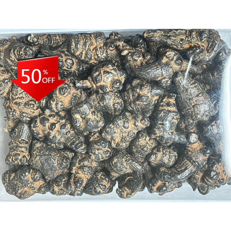 HelloYoung 500g Black Radix Pseudoginseng 黑田七頭, good quality and price Main image