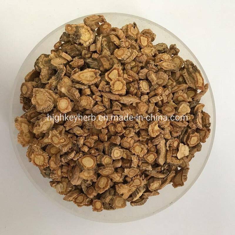 Fang Feng Health Care Chinese Parsnip Root Raw Material Radix Saposhnikoviae100g