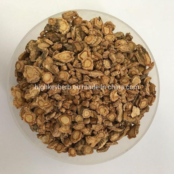 Fang Feng Health Care Chinese Parsnip Root Raw Material Radix Saposhnikoviae100g