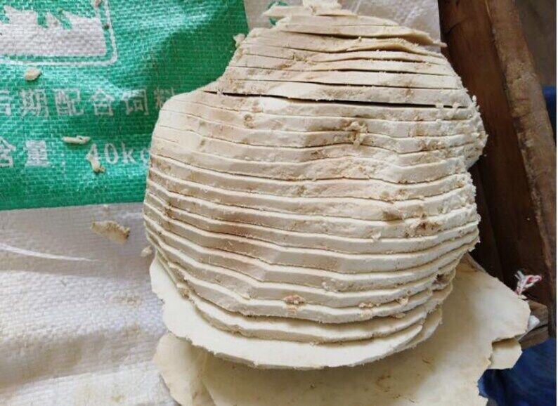 Poria Cocos Slice, Fu Ling Slice Tuckahoe Slice, Hoelen, China Poria Root