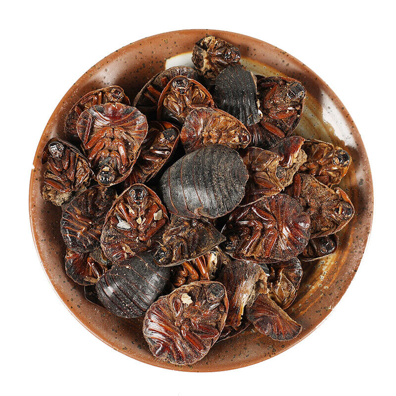HelloYoung 250g Natural Organic Healthy Herbal Tea 蟅虫 High Quality Zhechong Health Care Main image
