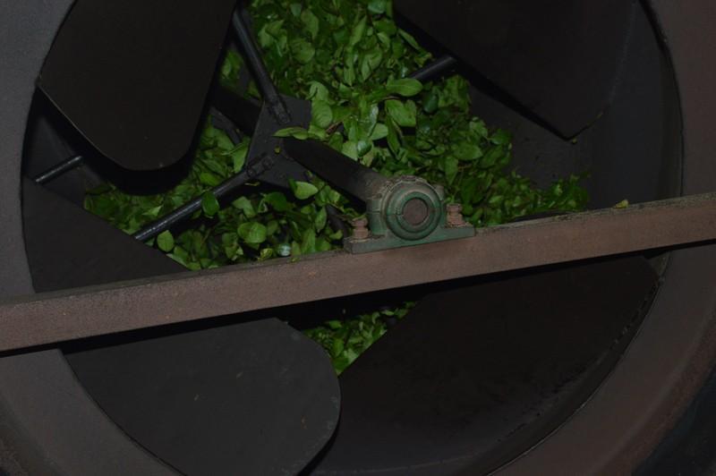 HelloYoung Top Grade Oolong Tea TieGuanYin Tea Organic Natural Health Care Product250g