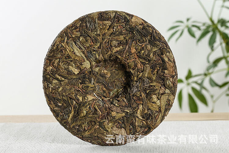 HelloYoung 357g Yunnan Pu'er Tea Seven Seed Cake Bangdong Ancient Tree Golden Leaf Raw Tea