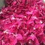 High Quality Peony Flower Tea Organic Peony Flower Ball Peony Petals