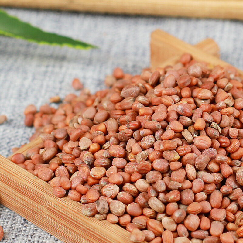 HelloYoung Luobizi Radish Seeds Healthy Tea Natural Organic Healthy Herbal Tea  萝卜子 500g Main image