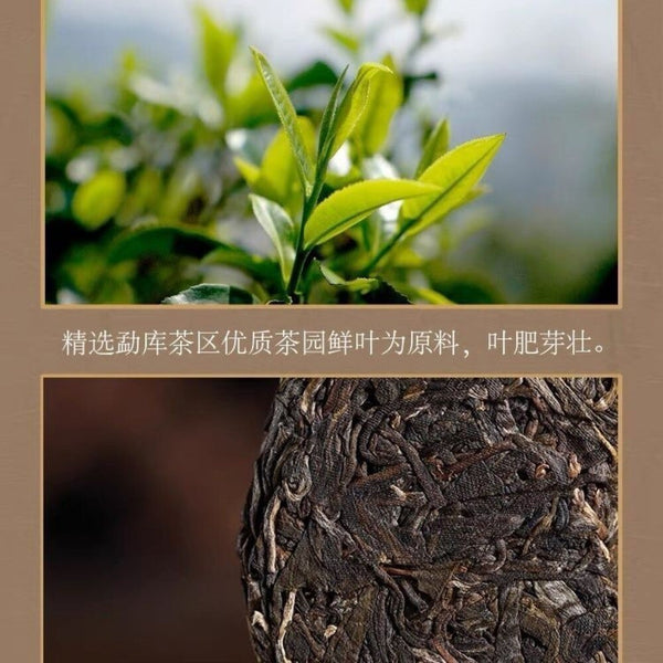 2021 Mengku Rongshi Raw Pu-erh Spring Tips 100g Floral Honey Aroma Yunnan